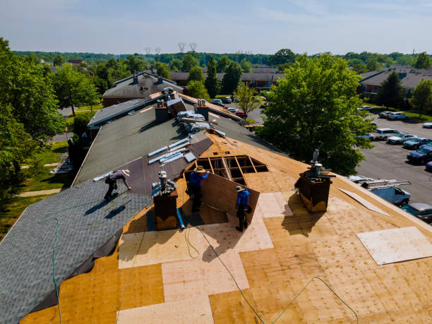 Best Roof Gutter Cleaning  in Sibley, LA
